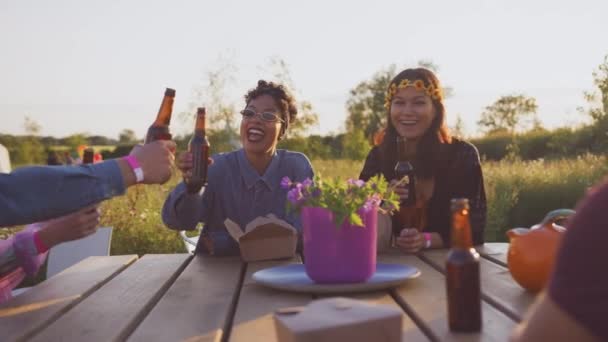 Grupa Młodych Przyjaciół Siedzących Przy Stole Pijących Wznoszących Toast Miejscu — Wideo stockowe