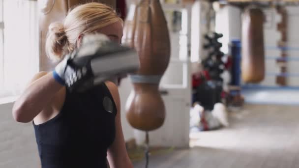 Ανώτερος Αρσενικό Πυγμάχος Νεότερη Γυναίκα Προπονητής Στο Γυμναστήριο Χρησιμοποιώντας Γάντια — Αρχείο Βίντεο