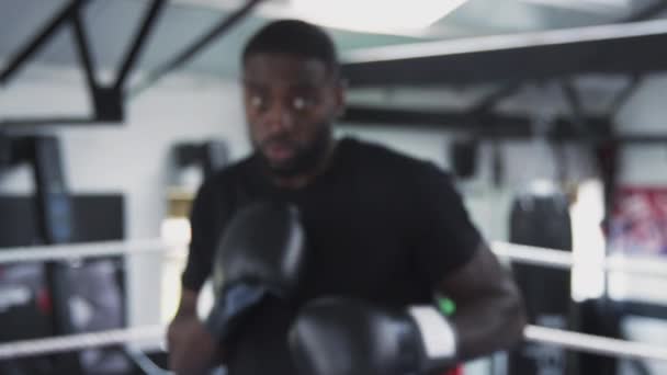 男子拳击手在体育馆拳击台上打斗的观点 慢动作射击 — 图库视频影像