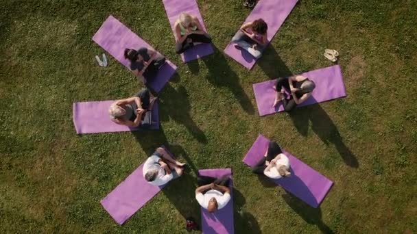 Drone Shot Groupe Mature Assistant Des Cours Yoga Plein Air — Video