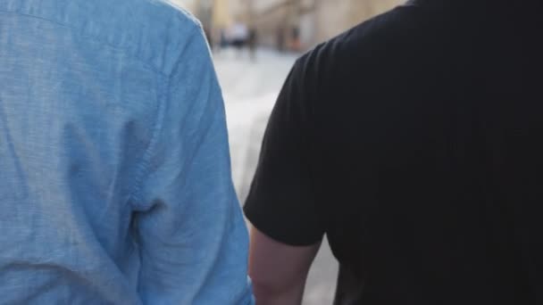 Zadní Pohled Mužský Homosexuální Pár Rande Držící Ruce Kráčející Ulici — Stock video
