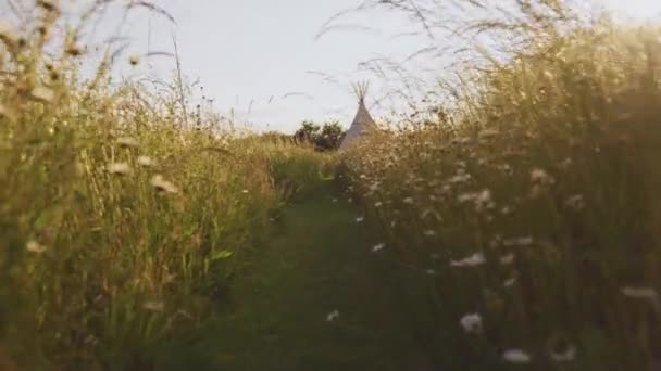Yaban Çiçekleri Çim Tarlalarının Arasından Çadır Kurma Yolunda Çekim Yapılıyor — Stok video