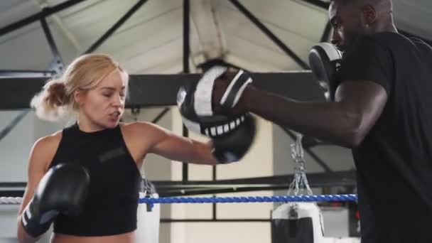 Entrenador Boxeo Masculino Con Boxeador Femenino Gimnasio Usando Guantes Entrenamiento — Vídeos de Stock