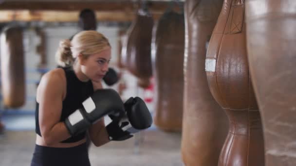 Boxer Femminile Palestra Allenandosi Colpendo Sacco Boxe Pelle Vecchio Stile — Video Stock