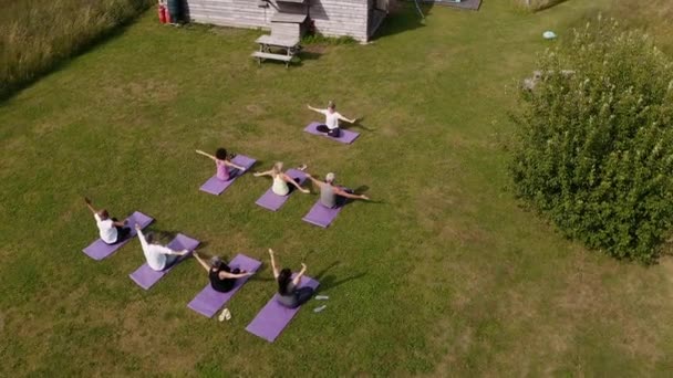 Drone Shot Gruppo Maturo Che Frequenta Lezioni Yoga All Aperto — Video Stock