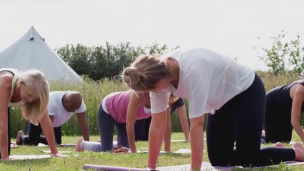 Lehrerin Leitet Gruppe Reifer Männer Und Frauen Unterricht Bei Yoga — Stockvideo