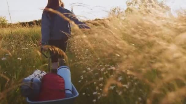 Vista Trasera Dos Amigas Caminando Por Campo Hacia Tipi Carrito — Vídeos de Stock