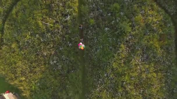 音楽祭でキャンプ2人の女性の友人の空中ドローンショットは フィールドを通ってティーピー保持気球に向かって実行 スローモーションで撮影 — ストック動画