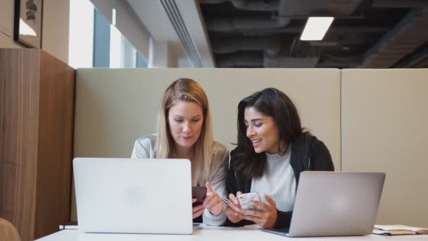 Duas Jovens Empresárias Casualmente Vestidas Trabalhando Lado Lado Laptops Olhando — Vídeo de Stock