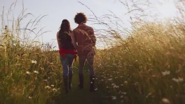 一对年轻夫妇在露营度假时穿过田野走向小木屋的后视镜 慢镜头拍摄 — 图库视频影像