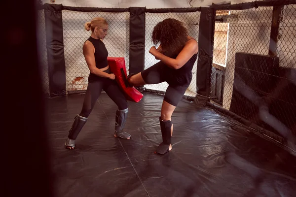 Två Kvinnliga Mixed Martial Arts Fighters Kick Boxning Utbildning Gym — Stockfoto