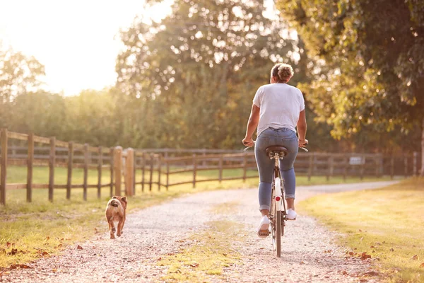 日落时分 带着宠物狗骑着自行车沿着乡间小路走的妇女的后视镜 — 图库照片