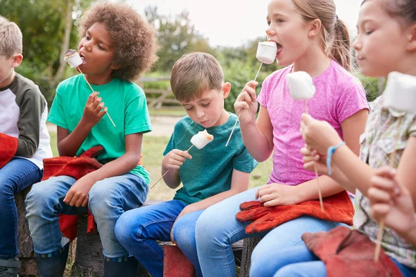 Crianças Atividade Livre Camping Trip Comer Marshmallows Redor Acampamento Fogo — Fotografia de Stock