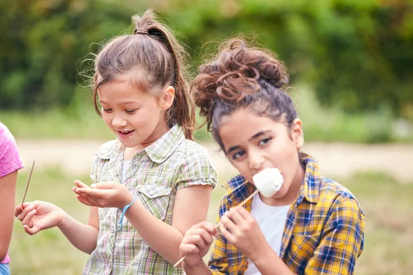 Açık Hava Faaliyet Kampında Kızlar Birlikte Ateşin Etrafında Marshmallowları Yiyerek — Stok fotoğraf