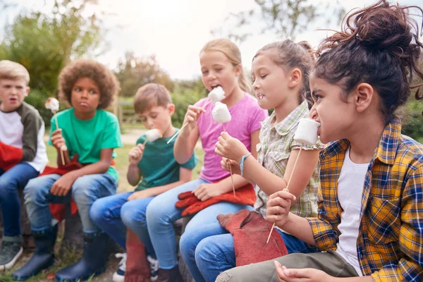 Crianças Atividade Livre Camping Trip Comer Marshmallows Redor Acampamento Fogo — Fotografia de Stock