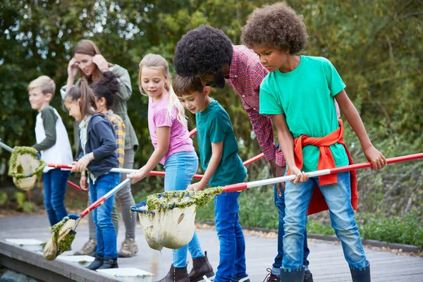 Los Líderes Equipo Adultos Muestran Grupo Niños Campamento Actividades Aire —  Fotos de Stock