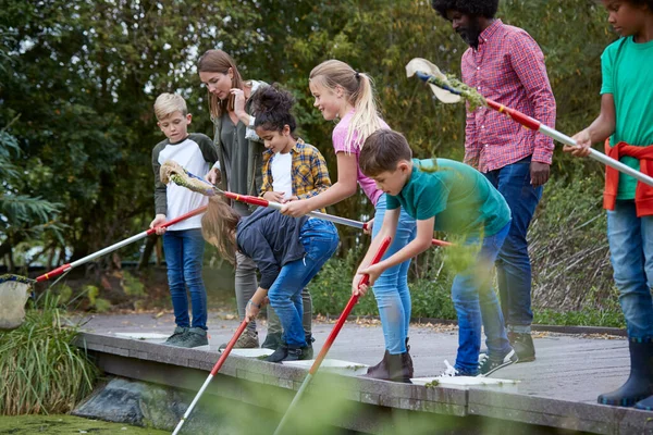 Los Líderes Equipo Adultos Muestran Grupo Niños Campamento Actividades Aire — Foto de Stock