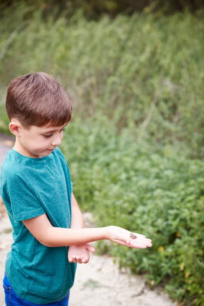 野外活動キャンプで小さなカエルを持つ男の子が池の生活を学ぶためにキャッチ — ストック写真