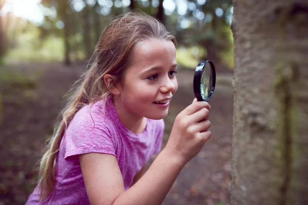 Fille Camp Activités Plein Air Étudiant Écorce Arbre Avec Verre — Photo