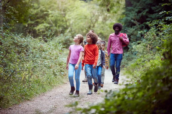 Лідери Дорослих Групою Дітей Відкритому Повітрі Табір Прогулянки Лісом — стокове фото