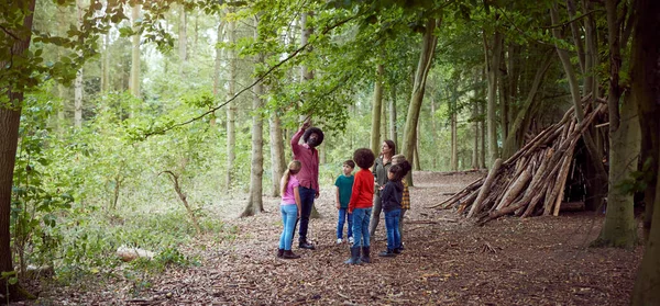 Vuxna Gruppledare Med Grupp Barn Aktivitetsläger Ute Skogen — Stockfoto