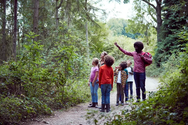 Líderes Equipe Adulta Com Grupo Crianças Campo Atividade Livre Andando — Fotografia de Stock