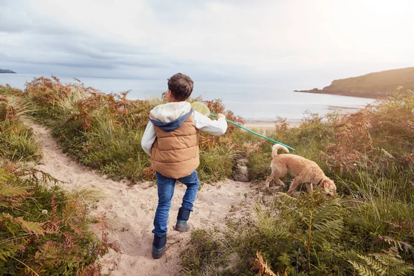 带渔网的男孩带着宠物狗探索沙坑 — 图库照片