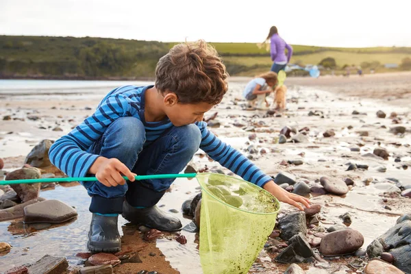 Kinderen Met Huisdier Hond Zoek Rockpools Winter Beach Vakantie — Stockfoto