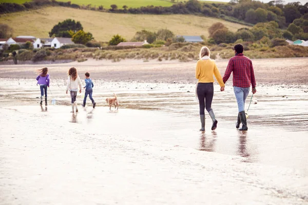 Bakre Utsikt Över Mångkulturell Familj Med Sällskapsdjur Hund Promenader Längs — Stockfoto