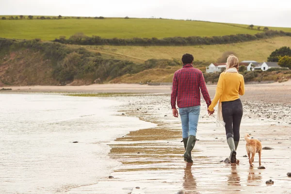 Achteraanzicht Van Liefdevolle Paar Met Huisdier Hond Vasthouden Handen Wandelen — Stockfoto