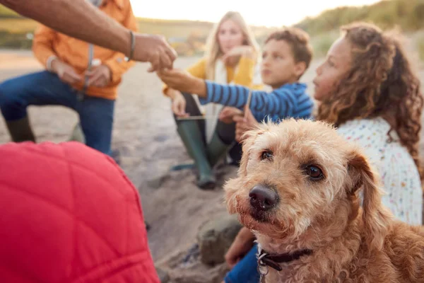 Çoklu Nesil Ailesi Evcil Köpeği Kışın Plaj Tatilinde Ateşin Etrafında — Stok fotoğraf
