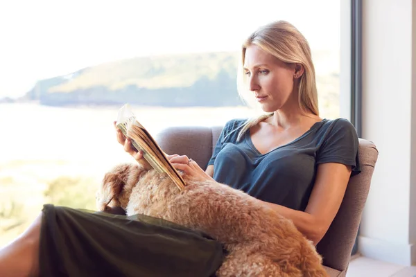 Mulher Leitura Livro Relaxante Cadeira Por Janela Casa Com Cão — Fotografia de Stock