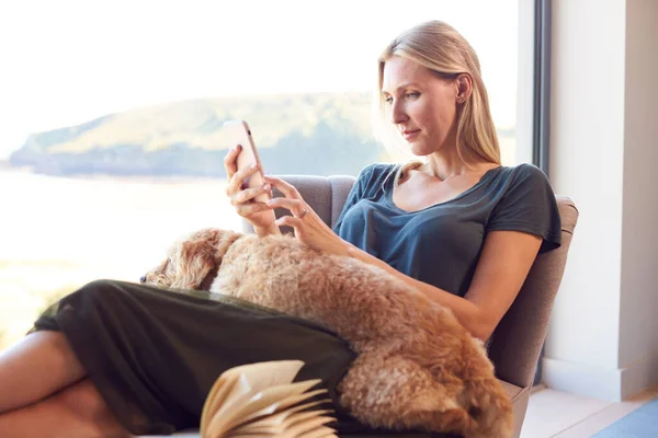 Kobieta Korzystająca Telefonu Komórkowego Relaks Fotelu Przez Okno Domu Pet — Zdjęcie stockowe