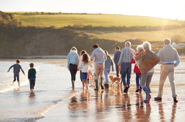 Rückansicht Einer Aktiven Mehrgenerationenfamilie Mit Hund Die Winterurlaub Strand Entlang — Stockfoto