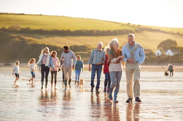 Aktivní Multi Generace Rodina Psem Procházky Podél Pobřeží Zimní Beach — Stock fotografie