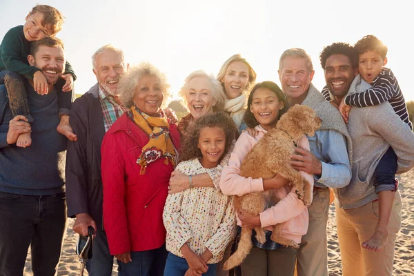 Retrato Del Grupo Familiar Multigeneracional Con Perro Vacaciones Playa Invierno —  Fotos de Stock