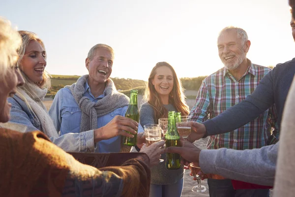 Multi Generation Adult Family Κάνοντας Μια Πρόποση Αλκοόλ Στις Χειμερινές — Φωτογραφία Αρχείου