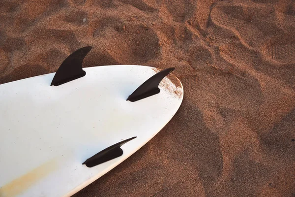 Primo Piano Della Parte Inferiore Della Tavola Surf Sdraiata Sulla — Foto Stock