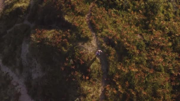 Drone Tiro Menina Divertindo Jogando Dunas Areia Férias Verão Com — Vídeo de Stock