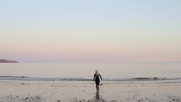 Rückansicht Einer Frau Neoprenanzug Die Surfurlaub Surfbrett Ins Meer Trägt — Stockvideo