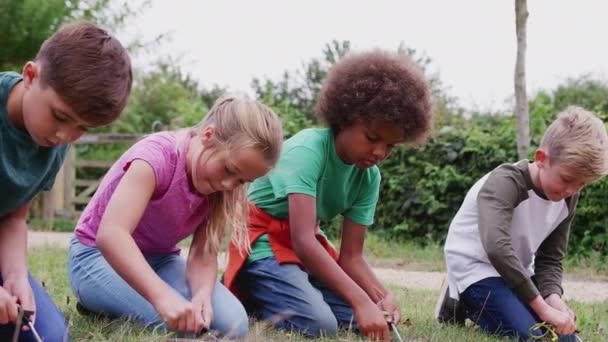 Группа Детей Открытом Воздухе Кемпинга Обучения Сделать Легкий Огонь Выстрел — стоковое видео