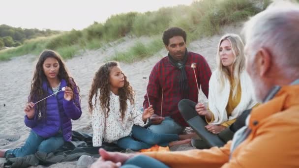 Família Várias Gerações Sentada Torno Fogo Praia Inverno Torrando Marshmallows — Vídeo de Stock