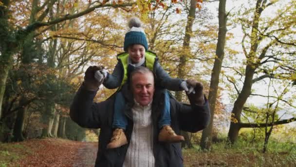 一緒に秋の田舎の道を歩いているときに孫を肩に担いで笑顔の祖父 スローモーションで撮影 — ストック動画