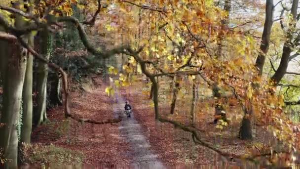 秋の田舎道を一緒に楽しく走る男の子と女の子のドローン撮影 — ストック動画