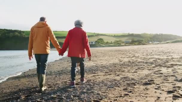 Vista Trasera Pareja Ancianos Amorosos Tomados Mano Caminando Largo Costa — Vídeos de Stock
