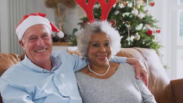 Retrato Pareja Ancianos Que Relajan Sofá Casa Mientras Celebran Navidad — Vídeo de stock