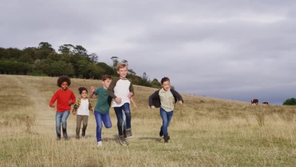 Vue Face Groupe Enfants Excursion Camping Plein Air Descendant Colline — Video
