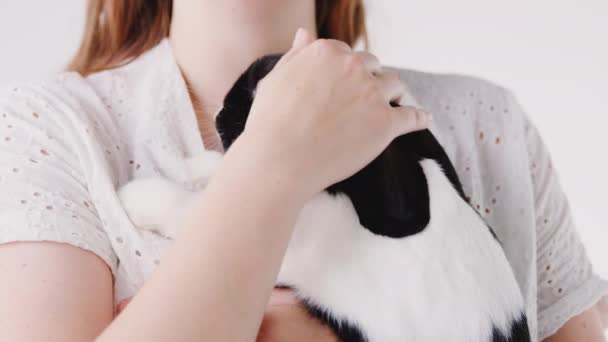 Close Menina Segurando Acariciando Animal Estimação Coelho Flop Miniatura Preto — Vídeo de Stock