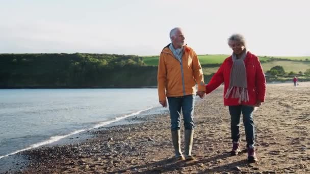 Liebendes Senioren Paar Hält Händchen Wenn Winterurlaub Strand Entlang Läuft — Stockvideo