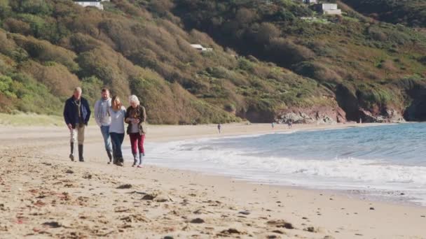 Oudere Paar Wandelen Langs Het Winterstrand Met Volwassen Nakomelingen Geschoten — Stockvideo